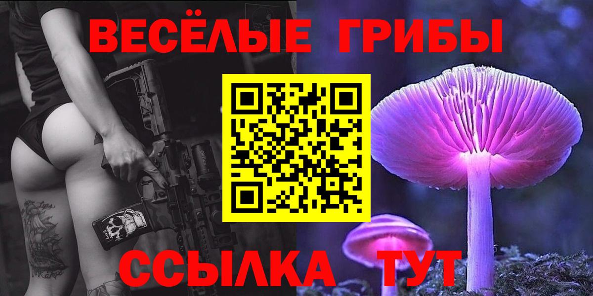 Богородицк  Псилоцибиновые грибы MAGIC MUSHROOMS  Галлюциногенные грибы Psilocybe  Вход с VPN 