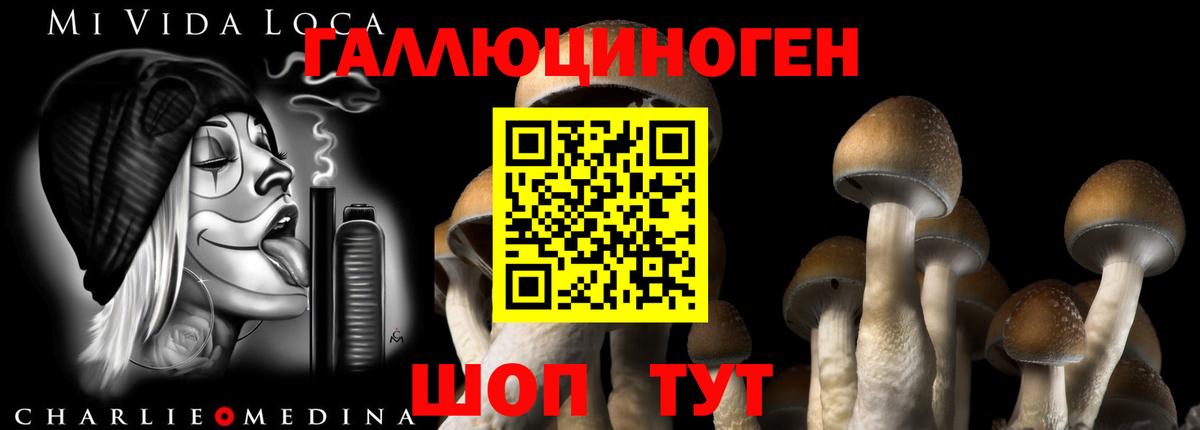 Галлюциногенные грибы Magic Shrooms Богородицк